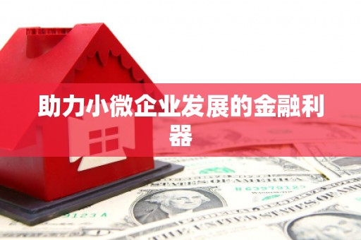 田阳助力小微企业发展的金融利器
