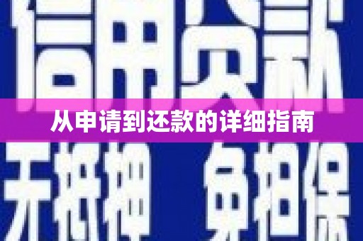 田阳从申请到还款的详细指南