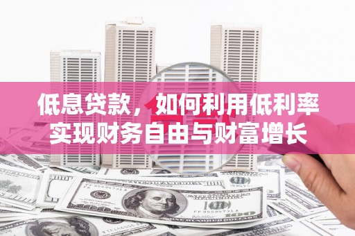 田阳低息贷款，如何利用低利率实现财务自由与财富增长