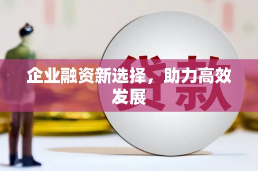 田阳企业融资新选择，助力高效发展