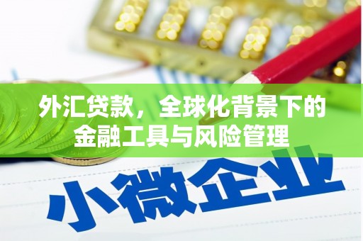 田阳外汇贷款，全球化背景下的金融工具与风险管理