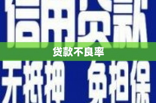 田阳贷款不良率