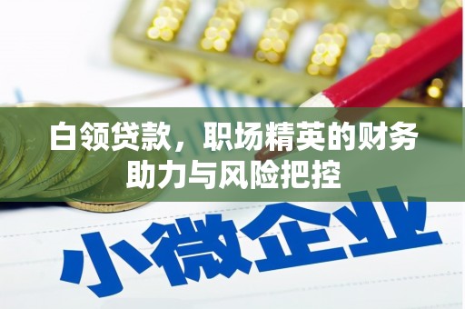 田阳白领贷款,职场精英的财务助力与风险把控 田阳白领贷款,职场精英的财务助力与风险把控